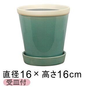  Aؔ   ObV[ POT 5 16cm H^[RCY L Mt ѓ  