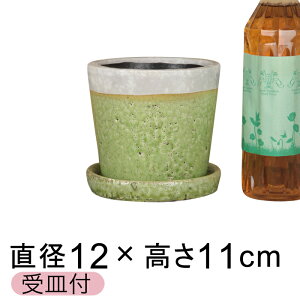 NCp Aؔ  킢 12cm  ѓ֖kMtl