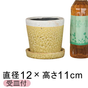 NCp Aؔ  킢 12cm  ѓ֖kMtl