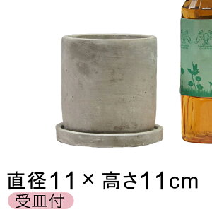 Zgv^[ Aؔ  ې^ 11cm kMtl