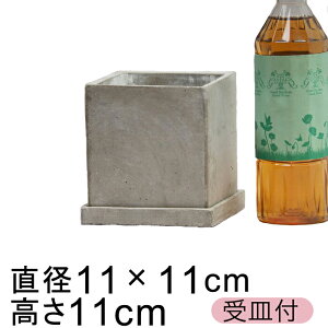 Zgv^[ Aؔ  L[u^ 11cm kMtl