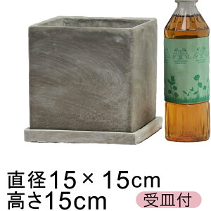 Zgv^[ Aؔ  L[u^ 15cm kMtl