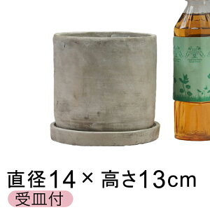 Zgv^[ Aؔ  ې^ 14cm kMtl