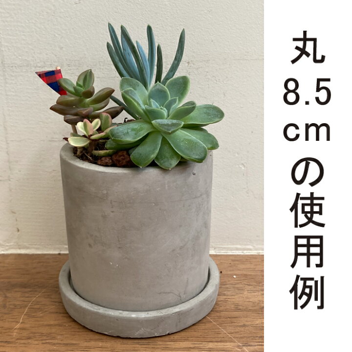 楽天市場】セメントプランター 植木鉢 おしゃれ 丸寸胴型 11cm 〔受皿付〕 : 植木鉢・鉢カバー専門店グーポット 楽天市場】セメントプランター 植木鉢 おしゃれ 丸寸胴型 11cm 〔受皿付〕 : 植木鉢・鉢カバー専門店グーポット