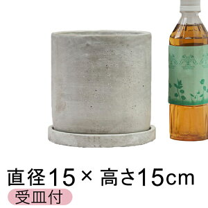 Zgv^[ Aؔ  ې^ 15cm kMtl