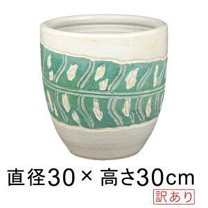 󂠂 [t ×  [^ Aؔ  M 30cm 12bg [of20]