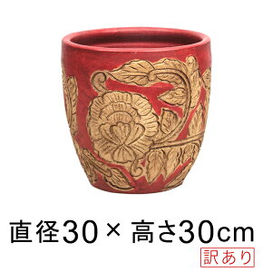 󂠂 ԗt  [^  Aؔ AؔJo[ bhn M 30cm 12bg [of20]
