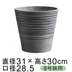 dE Jo[ C ی^ 31cm `R[n 8K Jo[ ꌊ H̑I