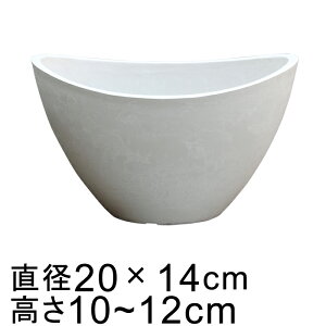 dE Jo[ ~^ 20cm zCgn 55331 ꌊ H̑I