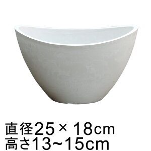 dE Jo[ ~^ 25cm zCgn 55332 ꌊ H̑I