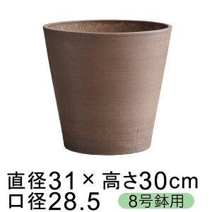 dE Jo[ ی^ 31cm uEn 8K Jo[ ꌊ H̑I