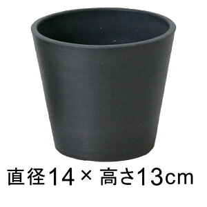 dE ی^ 14.3cm `R[n ꌊ H̑I