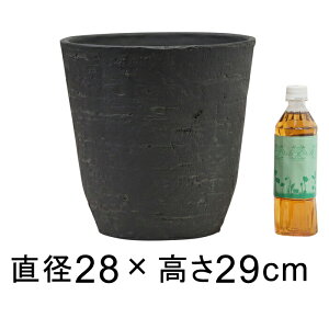 Aؔ  Jo[ AؔJo[ yʁE|bg ی^ 28cm 10bg _[NO[n