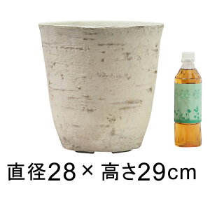 Aؔ  AؔJo[ yʁE|bg ی^ 28cm 10bg AC{[n Jo[