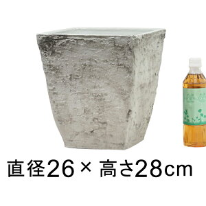 yʁE|bg p^ XNGA 26cm Jo[ 10bg CgO[n Aؔ 