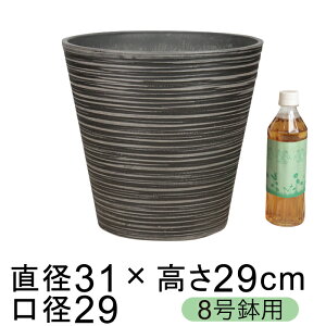 dE Jo[ GRt|bg 31cm `R[n 8K ꌊ H̑I
