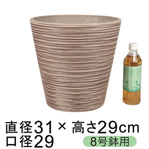 dE Jo[ GRt|bg 31cm g[vn 8K ꌊ H̑I