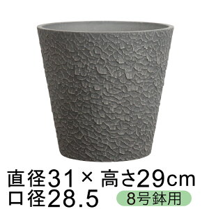 dE Jo[ GRtbN|bg 31cm `R[n 8K ꌊ H̑I