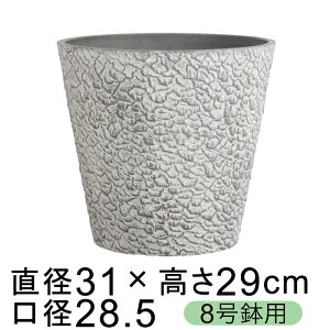 dE Jo[ GRtbN|bg 31cm Cg`R[n 8K ꌊ H̑I