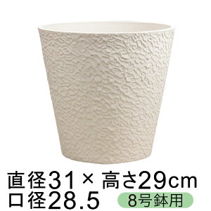 dE Jo[ GRtbN|bg 31cm zCgn 8K ꌊ H̑I
