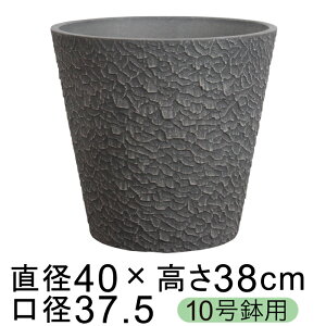 dE Jo[ GRtbN|bg 40cm `R[n 10K ꌊ H̑I