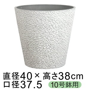 dE Jo[ GRtbN|bg 40cm Cg`R[n 10K ꌊ H̑I