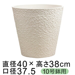 dE Jo[ GRtbN|bg 40cm zCgn 10K ꌊ H̑I