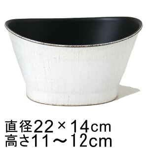 vX`bN|bg k043141l ~^ 22cm AeB[NzCg ꌊ H̑I