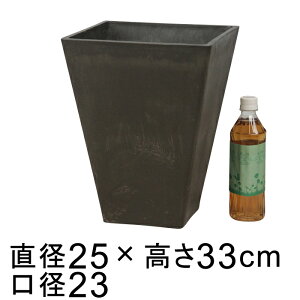 dE XeC^XXNGA|bg p 25cm 33cm `R[n ꌊ H̑I