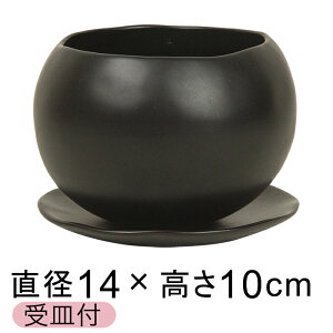 픫 Aؔ  }i  L 14cm Mt 