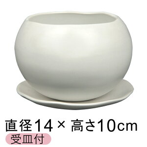 픫 Aؔ  }i  L 14cm Mt 