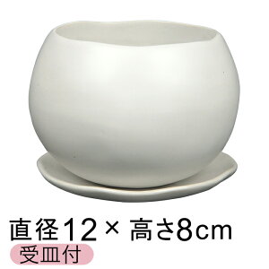 픫 Aؔ  }i  M 12cm Mt 