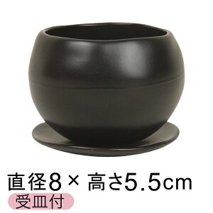 픫 Aؔ  }i  SS 8cm Mt 