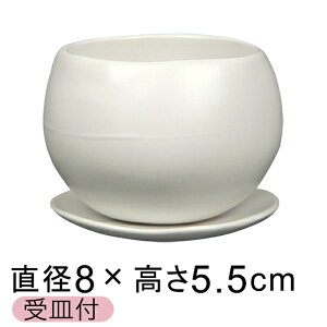 픫 Aؔ  }i  SS 8cm Mt 