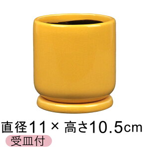 Aؔ  NmX n S 11cm Mt