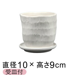 Aؔ  ns n SS 9.5cm Mt