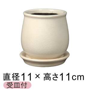 Aؔ  XeEh n S 11cm Mt