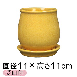 Aؔ  XeEh Fn S 11cm Mt