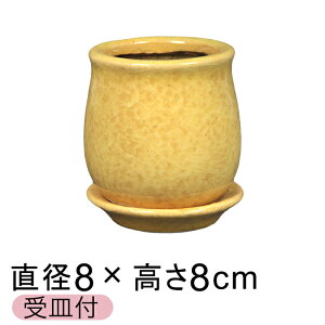 Aؔ  XeEh Fn SS 8cm Mt