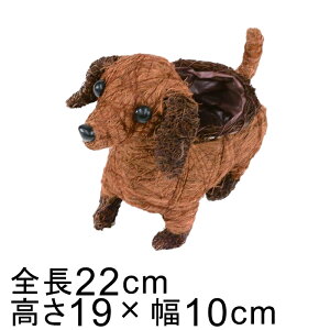 Aj} oXPbg Jo[ Ck  uEn 22cm 19cm