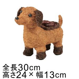 Aj} oXPbg Jo[ Ck  uEn 30cm 24cm