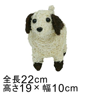 Aj} oXPbg Jo[ Ck  x[Wn 22cm 19cm