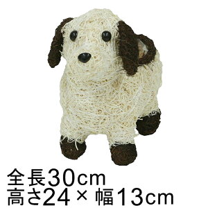 Aj} oXPbg Jo[ Ck  x[Wn 30cm 24cm