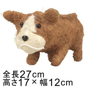 Aj} oXPbg Jo[ t`uhbO Ck uEn 27cm 17cm