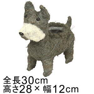 Aj} oXPbg Jo[ ViEU[ Ck O[n 30cm 28cm