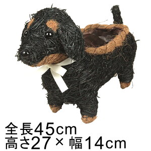 Aj} oXPbg Jo[ _bNXth 45cm 27cm