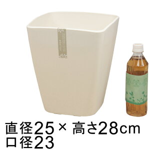  Aؔ AgG p 25cm zCg 9bg Jo[ 7p