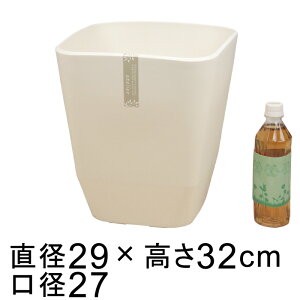  Aؔ AgG p 29cm zCg 14bg Jo[ 8p