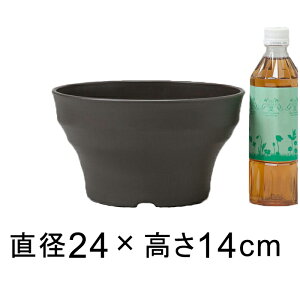 tO[{[ 24cm _[NuE 3bg Aؔ   O vX`bN y