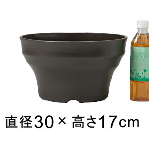 tO[{[ 30cm _[NuE 7bg Aؔ   O vX`bN y